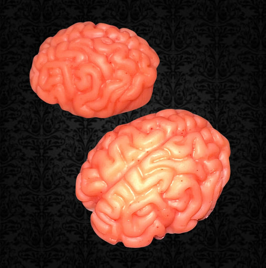 Brains